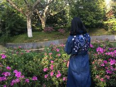 -听松楼·花园酒店·自助餐厅(红梅公园店)