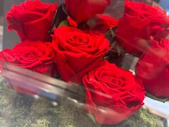 -ROSEONLY诺誓(青岛万象城店)