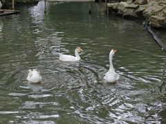 -兰亭风景区