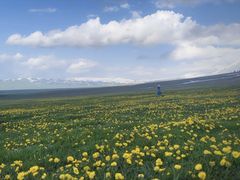 -新疆那拉提国家旅游度假区