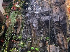 -正佳雨林生态植物园