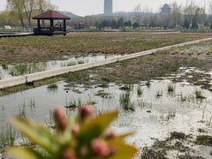 -永定河休闲森林公园