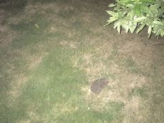 -观桥阁(锦溪店)