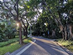 -人民公园(罗湖区)