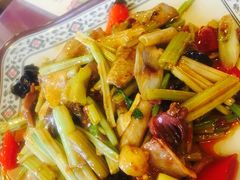 -糊涂兔毛毛菜(八里庄店)