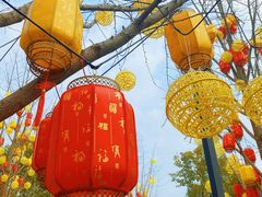 -龙华寺