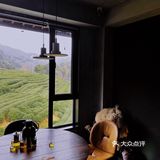 云径•天竹