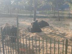 -秦皇岛野生动物园
