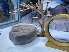 -海合安青岛极地海洋公园