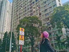 -九龙寨城公园
