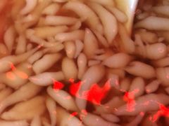 特色凉糕-好吃狗凉糕总店