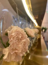 -TIME SPA科技美肤机构