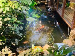 -聚缘堂·海鲜私房菜(松岭路店)