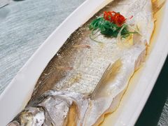 清蒸白水鱼-伙靠·江浙菜(田林路店)
