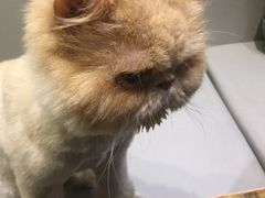 -小时光咖啡馆(开森度假森林店)