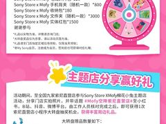 -Sony Store 索尼(上海淮海中路店)