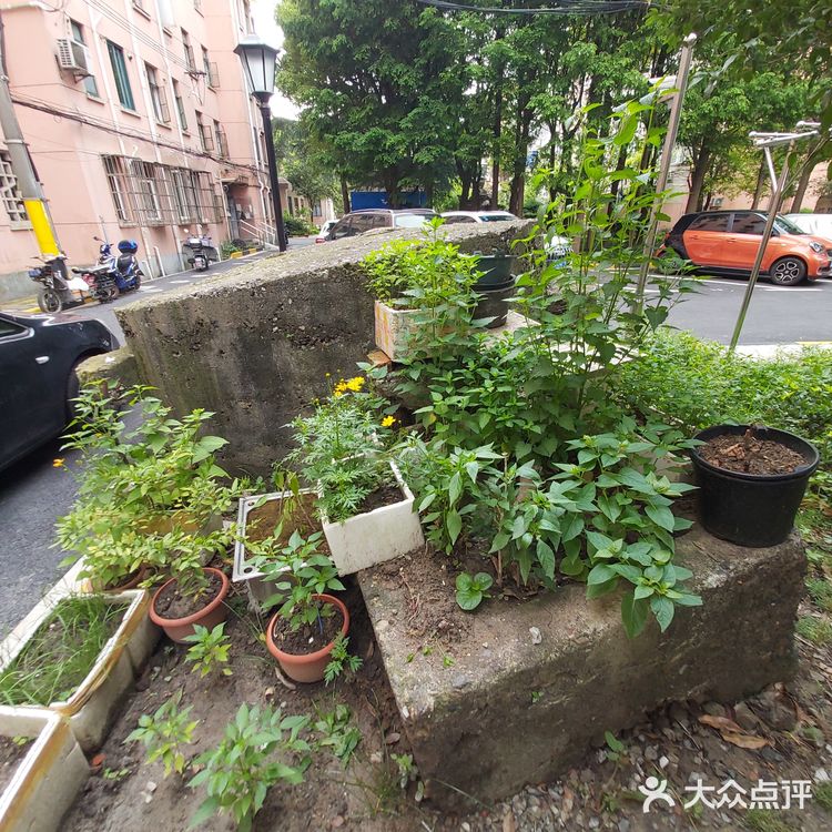 浦北路948弄碉堡
