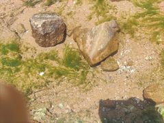 -青岛第三海水浴场