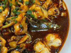 -福建美食城(老君堂店)