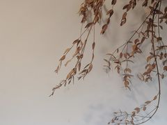 -丰一(武昌店)