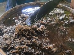 -大象粑粑造纸公园