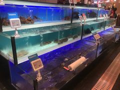 -盒马X会员店(王府井奥莱UP TOWN店)