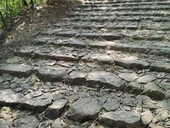 -仙霞关景区