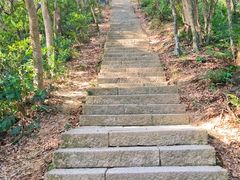 -梧桐山风景名胜区