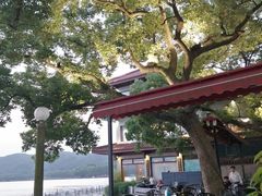 -湖畔居茶楼(湖滨店)