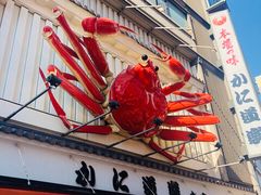 -蟹道乐(道顿堀本店)