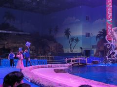 -华夏文旅海洋公园