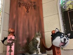 -逃脱反斗城沉浸剧情密室(北京路店)