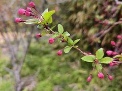 -外高桥保税区南(地铁站)