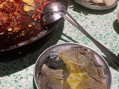 -五里关火锅(牛市口店)