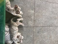-秦皇岛野生动物园