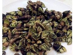 狗爪螺-万山楼海鲜酒家·二十三年老字号