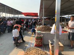 -何庄子阿米玛玛农产品批发市场