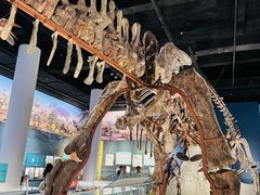 -国家自然博物馆