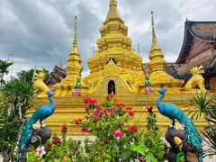 -西双版纳傣族园