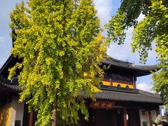 -北寺塔