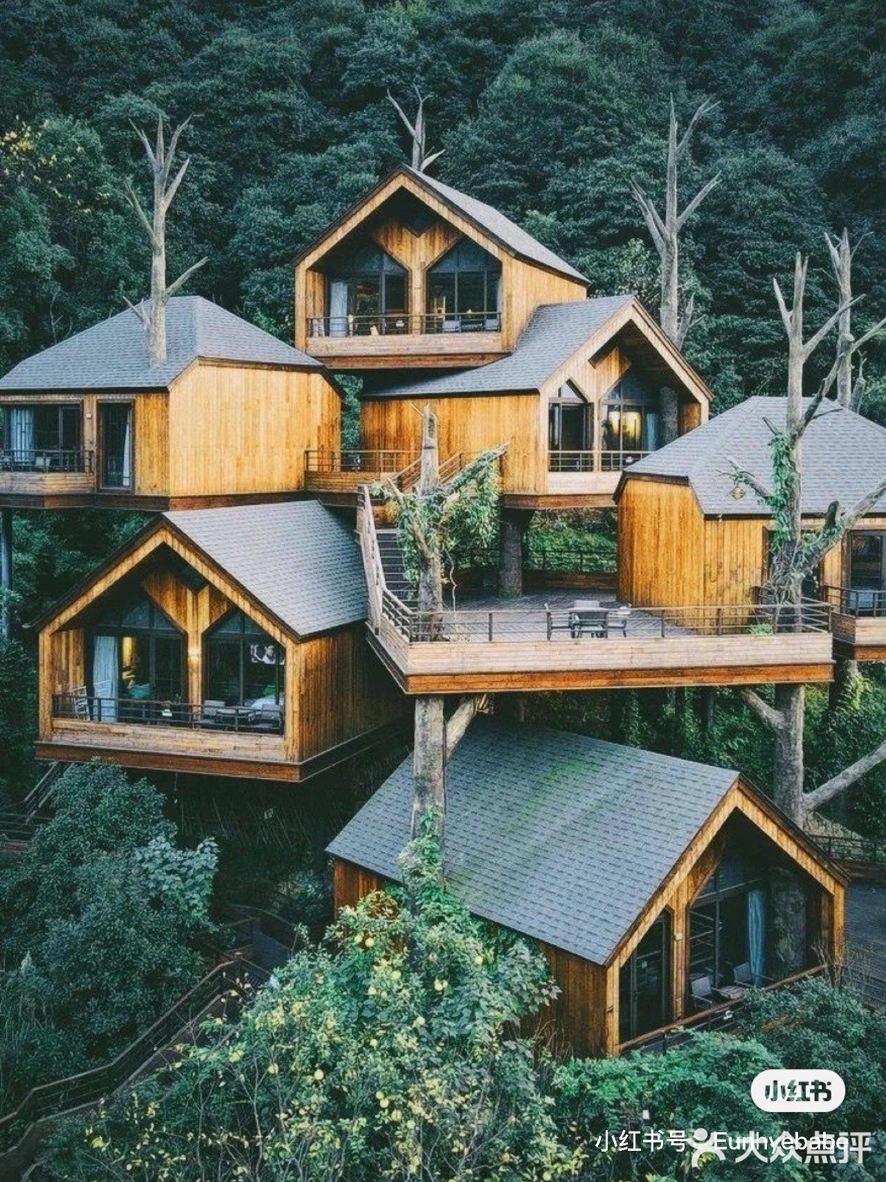 住不腻的树屋酒店