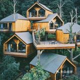 住不腻的树屋酒店