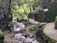 -藏龙百瀑风景区