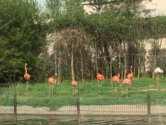 -西安秦岭野生动物园