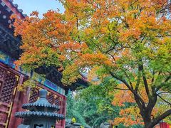 -香山公园