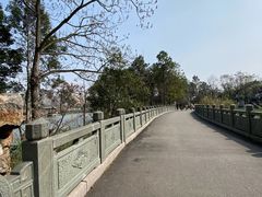 -三垟湿地