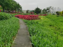 -那考河湿地公园