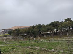 -滆湖低碳生态公园