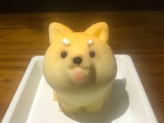 -柴犬高等学院·狗咖·柴犬售卖·宠物训练