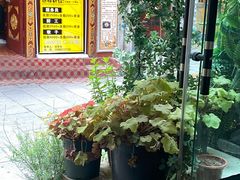 -冷峰马家鸡蛋牛奶醪糟(八朗学五巷店)
